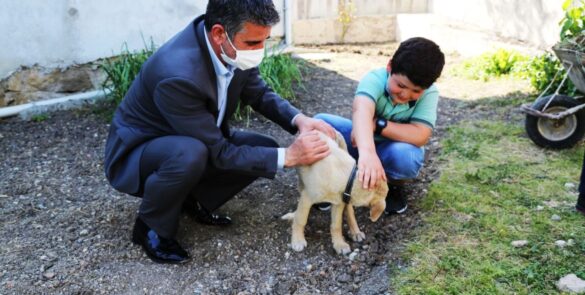 Kandıra Belediye Başkanı Turan'dan hayvansever çocuğa köpek yavrusu hediye etti