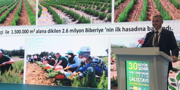 Kocaeli Büyükşehir, tarıma destek projeleriyle Türkiye’ye örnek oluyor1