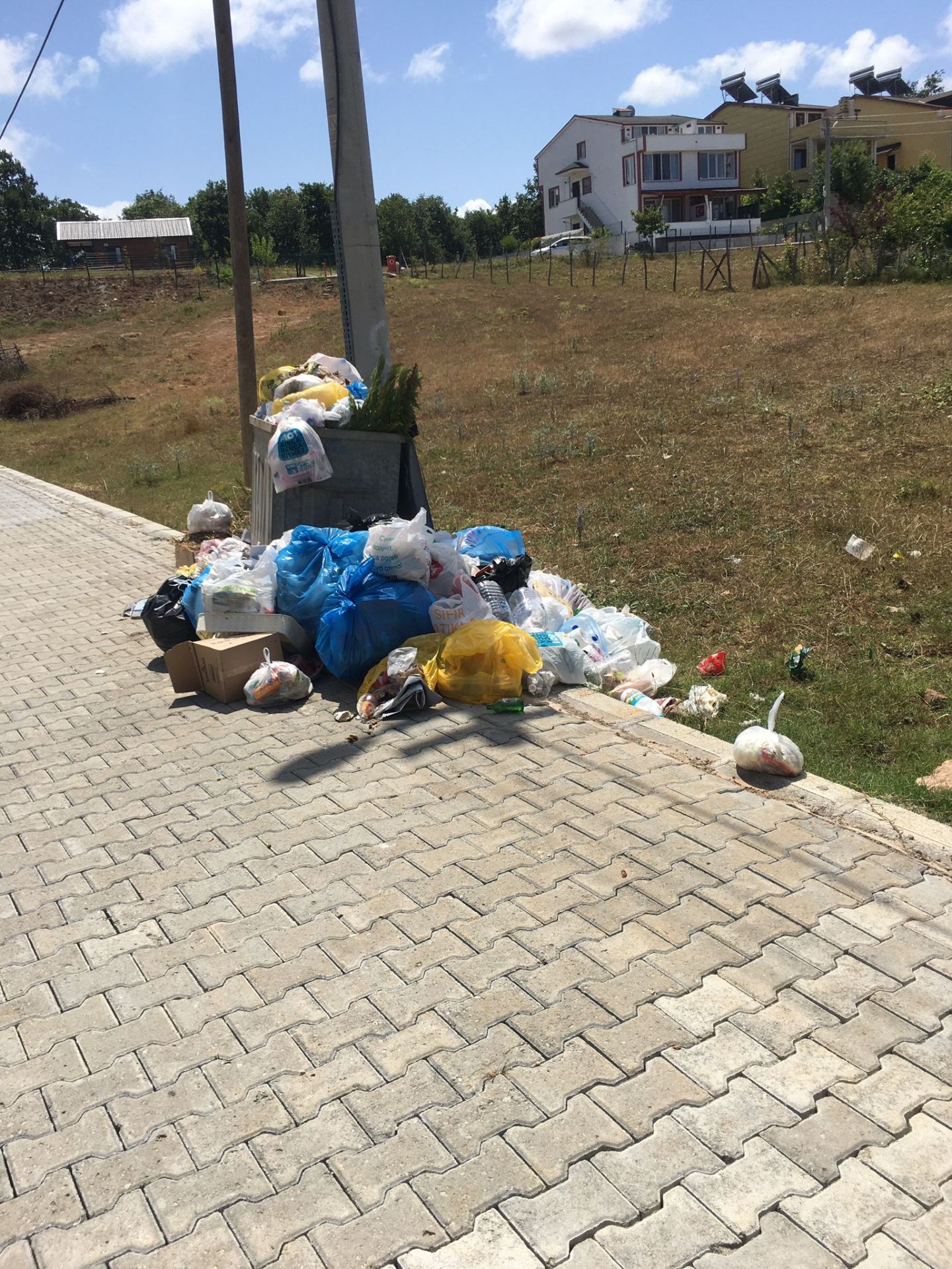 Kandıra sahilleri pislik içinde 1