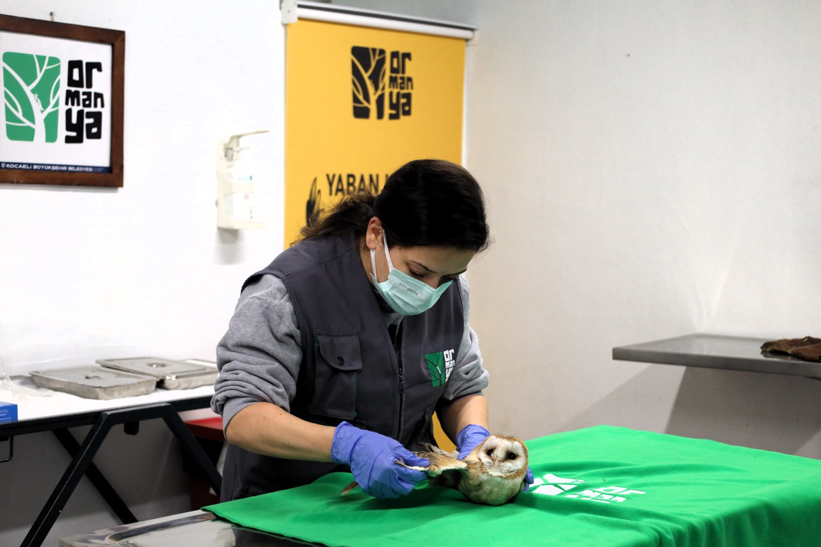 Bu merkez yaban hayvanlarına umut oluyor (1)