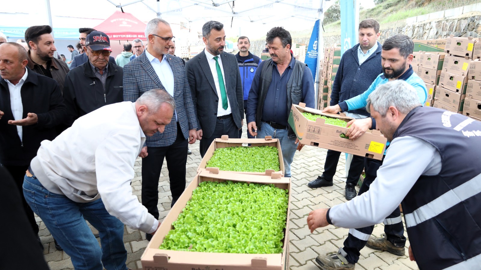 Gebzeli çiftçiye 500 bin sebze fidesi (1)