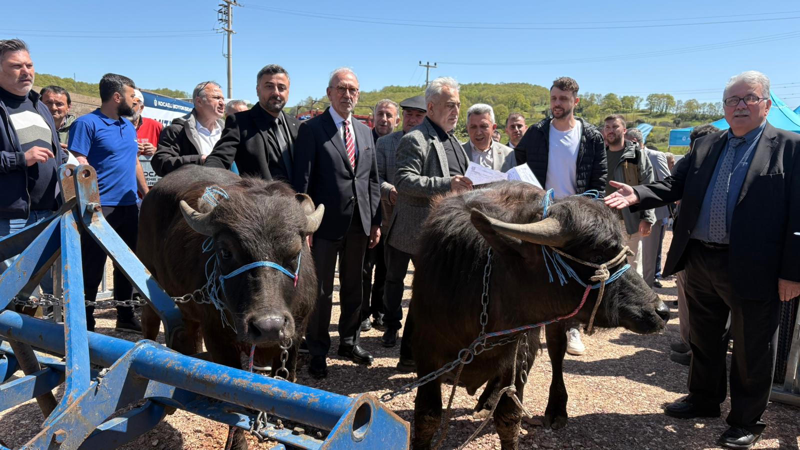 Kocaeli'de hayvancılık, Büyükşehir'le daha kolay (2)