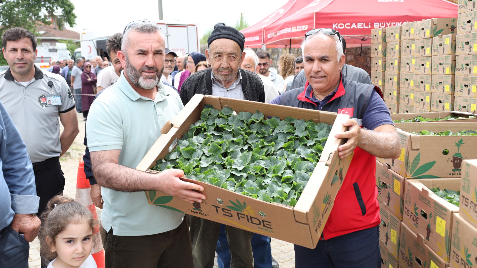 Tarlalar bereketleniyor, Kocaeli çiftçisi kazanıyor (9)